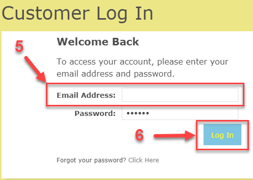 Enter your Email Address and Press Log In.